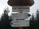 pod Tanecznicą 