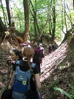 wąwozy -Cracovia :-), foto Gabriel Ziewiec, 2017