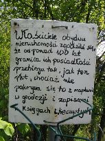 i inne ciekawostki, foto Gabriel Ziewiec, 2017