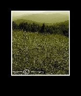 WIDOK Z JASŁA W KIERUNKU PASMA GRANICZNEGO