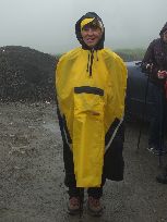 Helenka propaguje znajome hasło: żółte rządzi