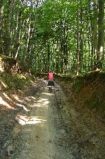 5. Droga z Szczebrzeszyna do Zwierzyńca (6)- wąwozy lessowe