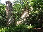 11. Rez. Czartowe Pole (3)- ruiny papierni