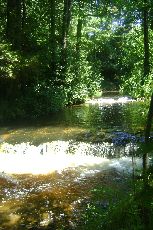 12. Szumy nad Tanwią (1)