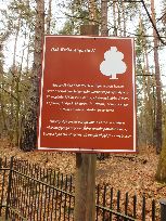 spis z natury (tzn. z królewskiego polowania)