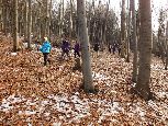 końcowe leśne przejście...