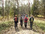 kolejny leśny trakt