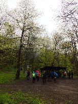 i kwitnąca czereśnia