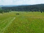 może to rozległe łąki...