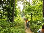 turystyka wzięła górę. Wędrowaliśmy więc piechotą lasami...