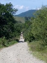 innym razem w dół szutrówką...