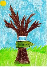 Paulina Markiewicz l. 12, MDK