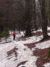 Samotnie wśród sniegu...